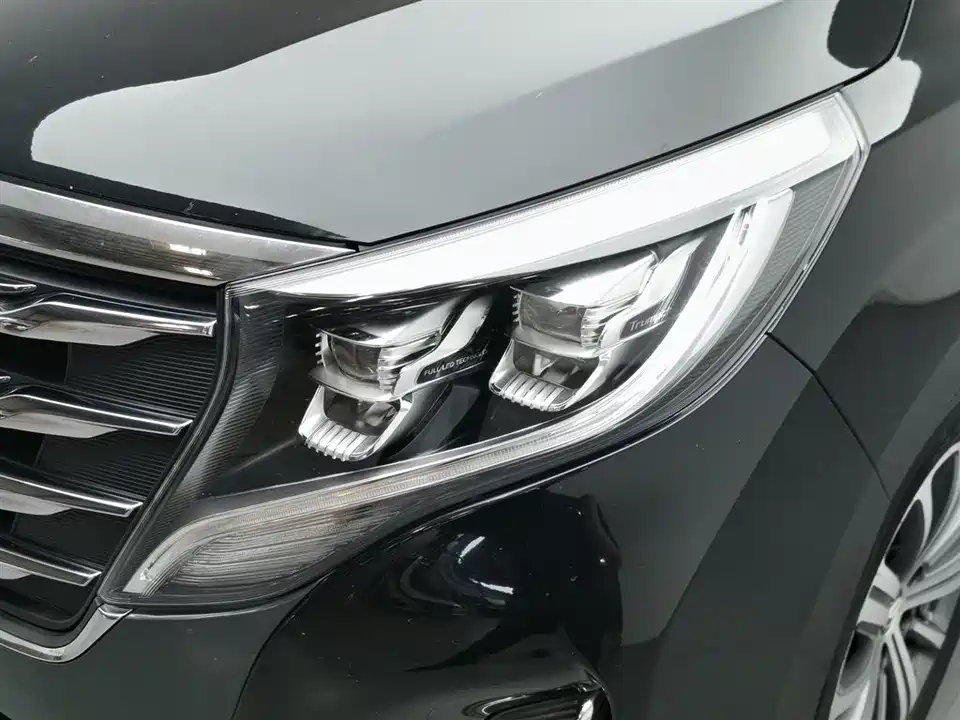 Trumpchi Trumpchi M8