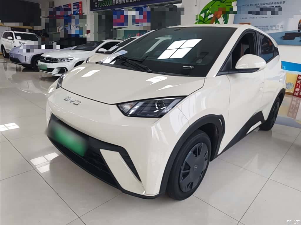 BYD Seagull, 2024 2