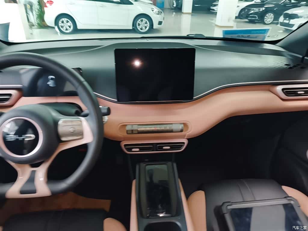 BYD Seagull, 2024 13