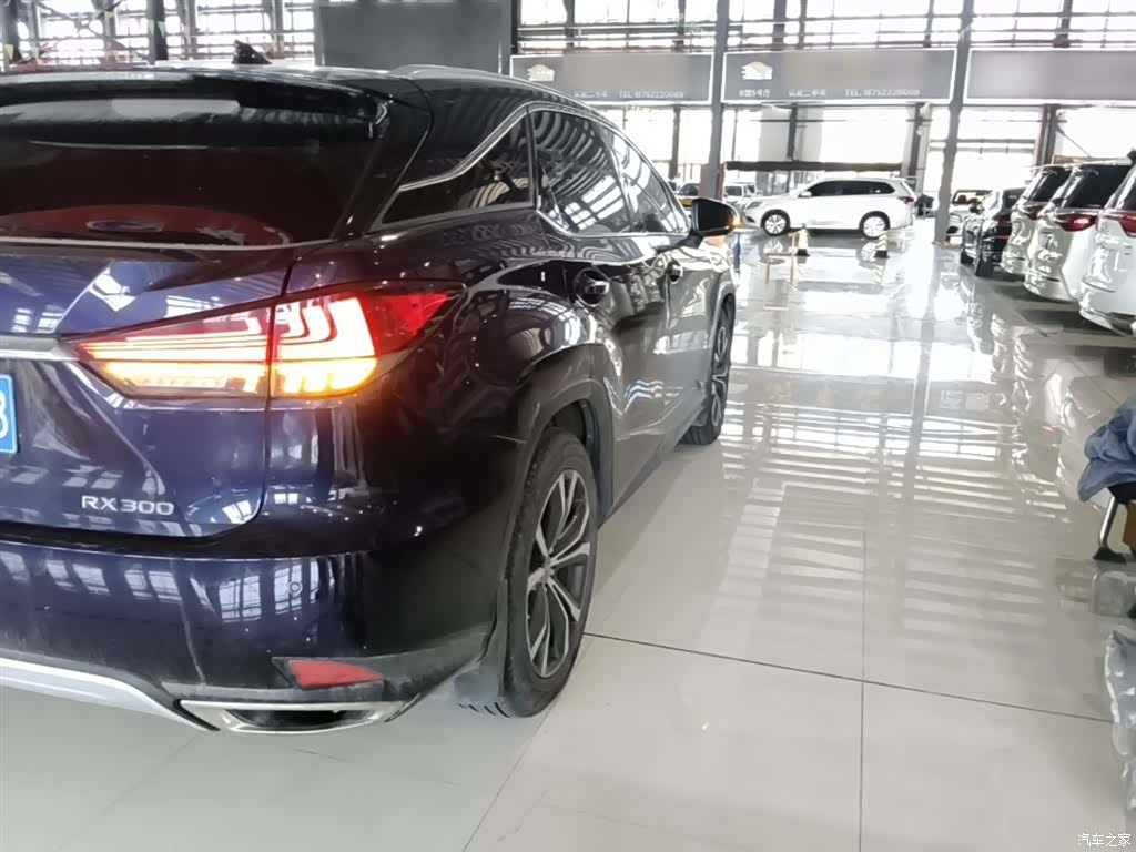 Lexus RX, 2021 8