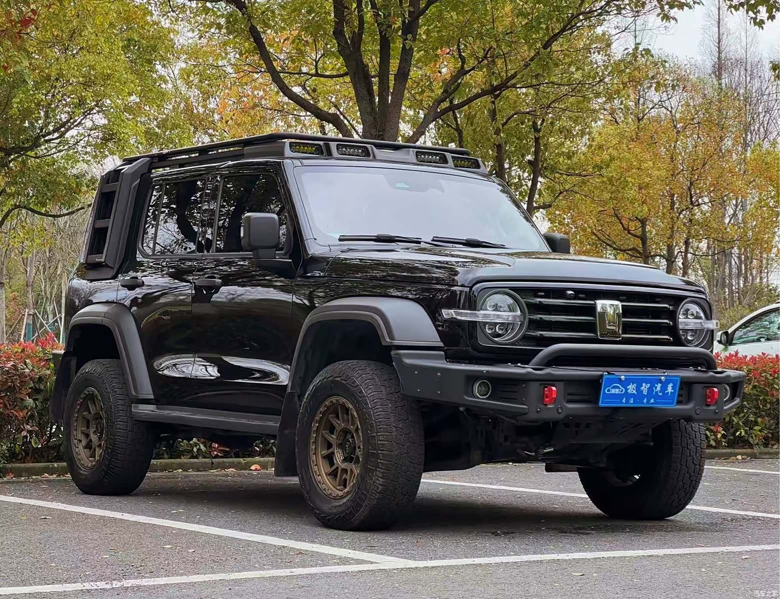 Tank 300, 2022 3