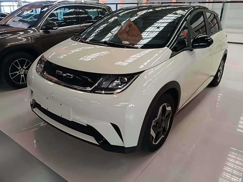 BYD Dolphin, 2023 2