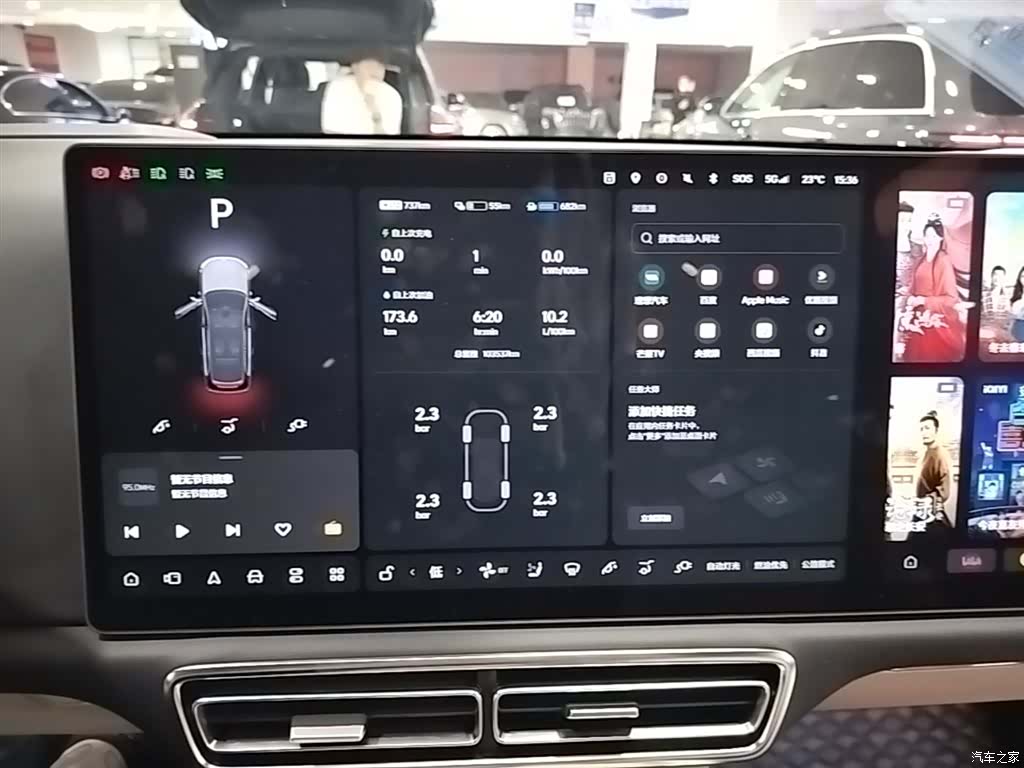 Li Auto L9, 2023 13