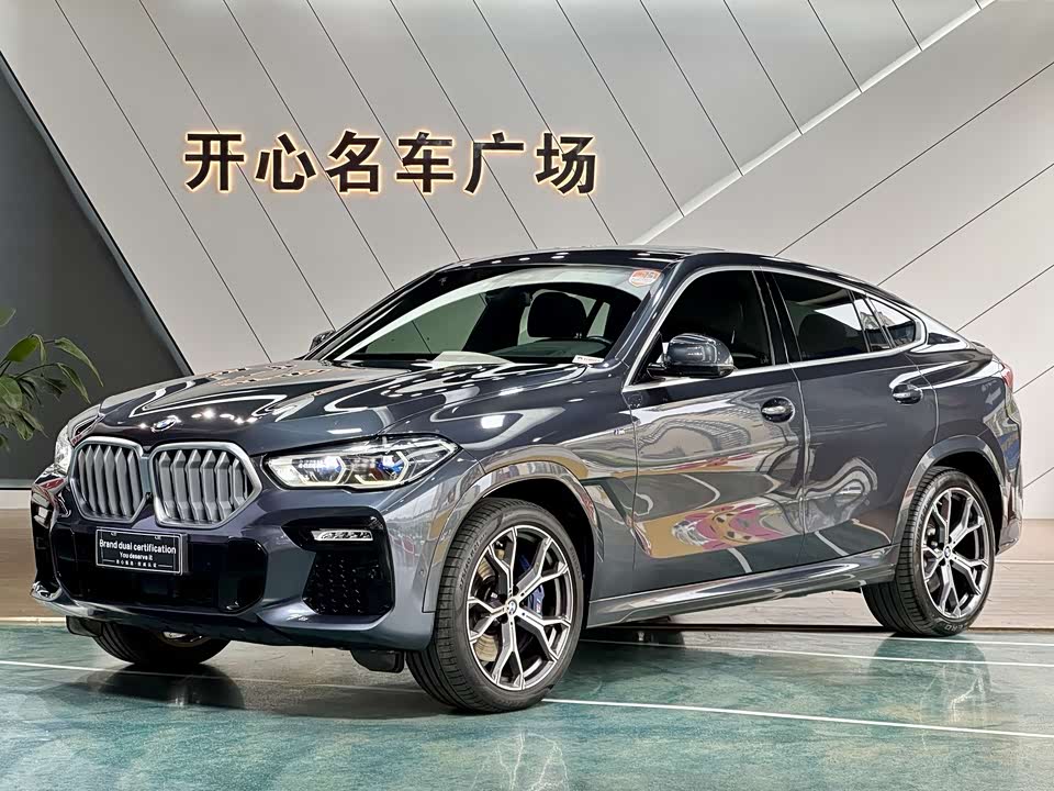 BMW X6
