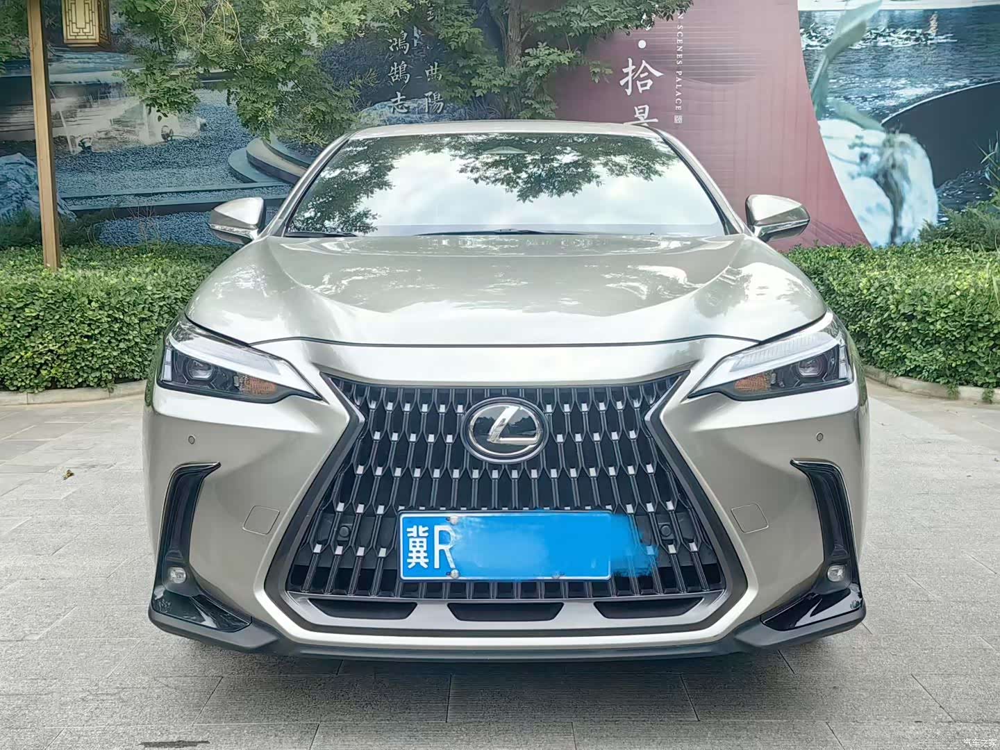 Lexus NX, 2023 1