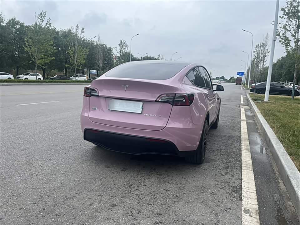 Tesla Model Y Tesla Model Y