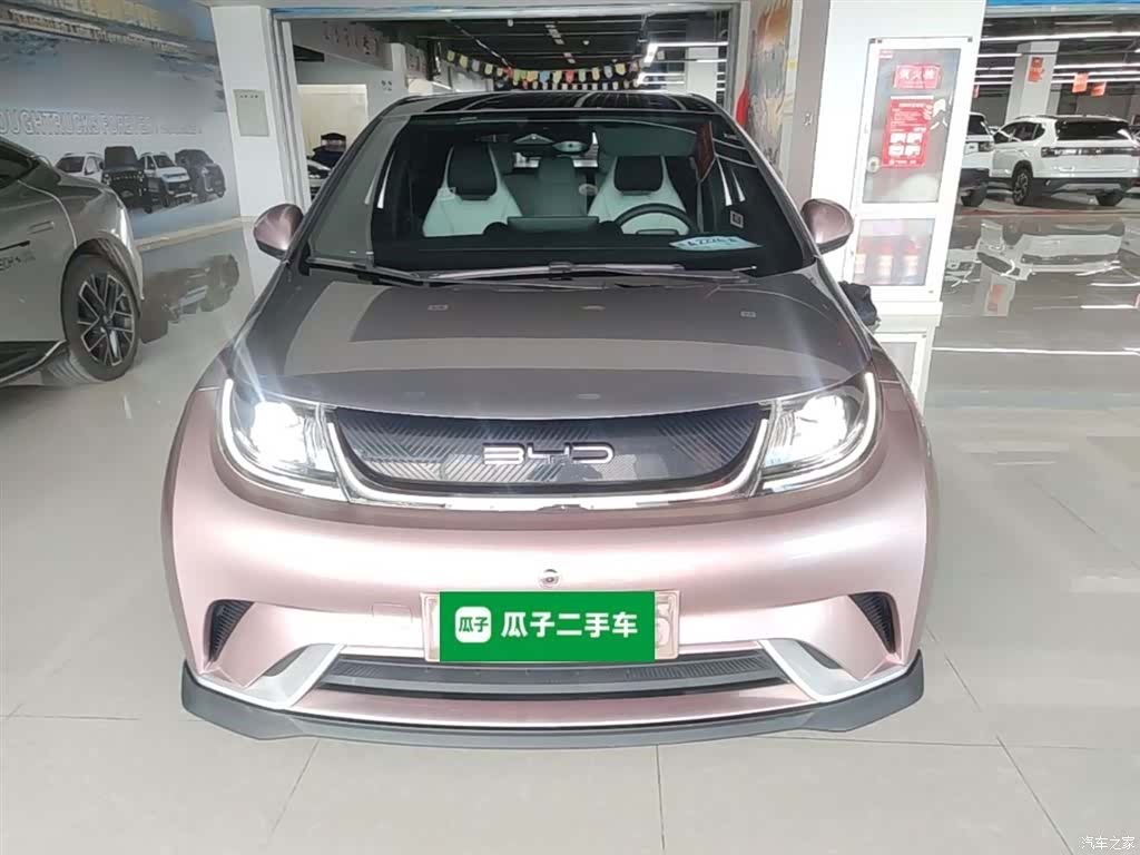 BYD Dolphin, 2021 3
