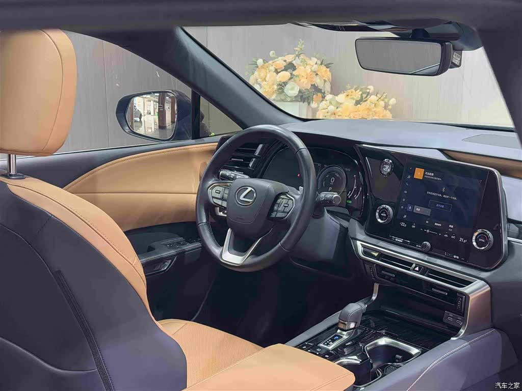 Lexus RX, 2023 15