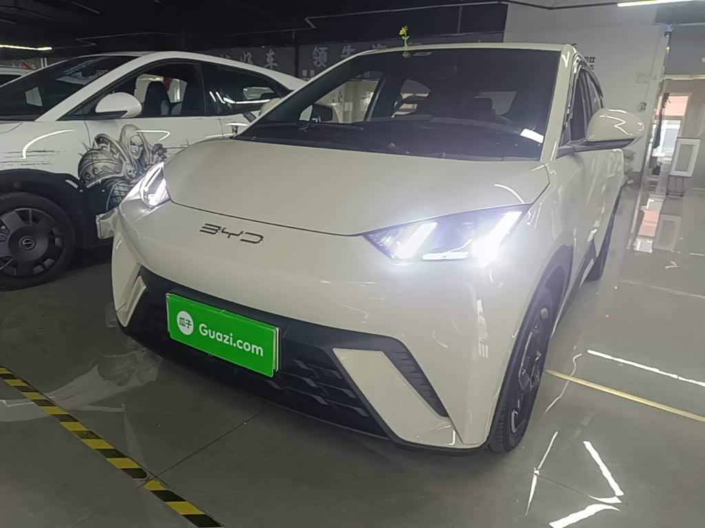 BYD Seagull