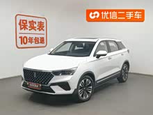 ����T77 2021�� PRO 280 TID �Զ���Ӣ��