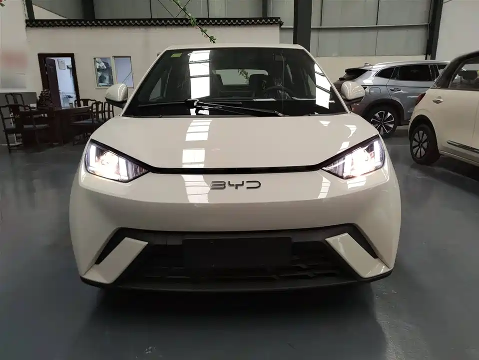 BYD Seagull