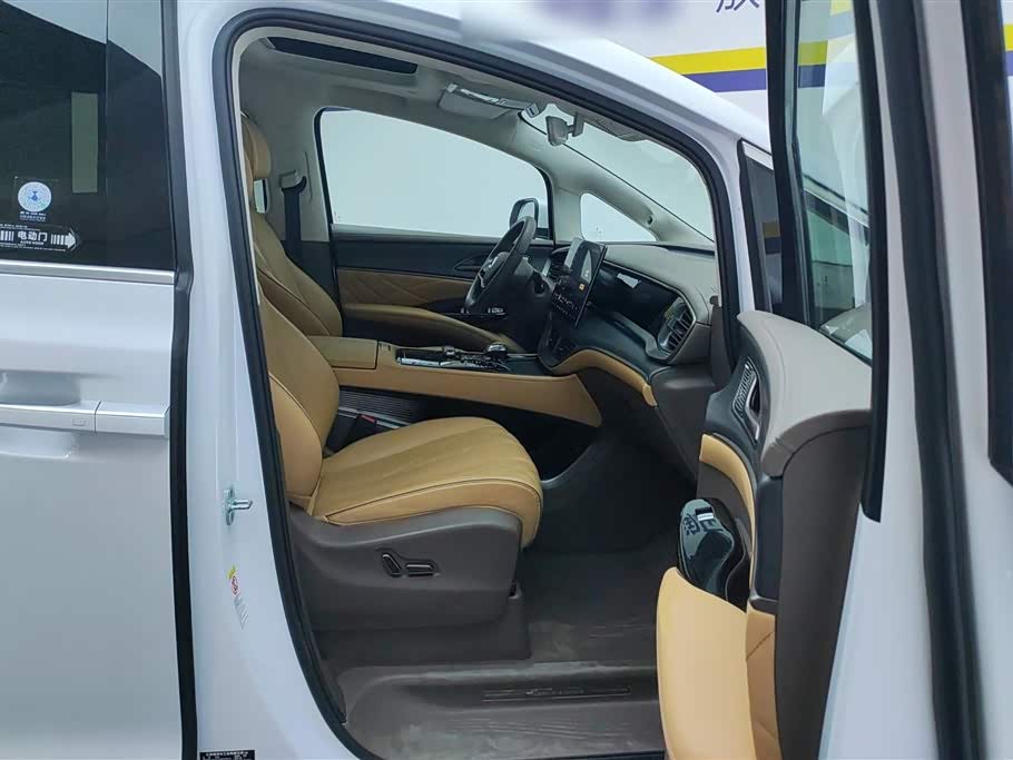 Denza D9