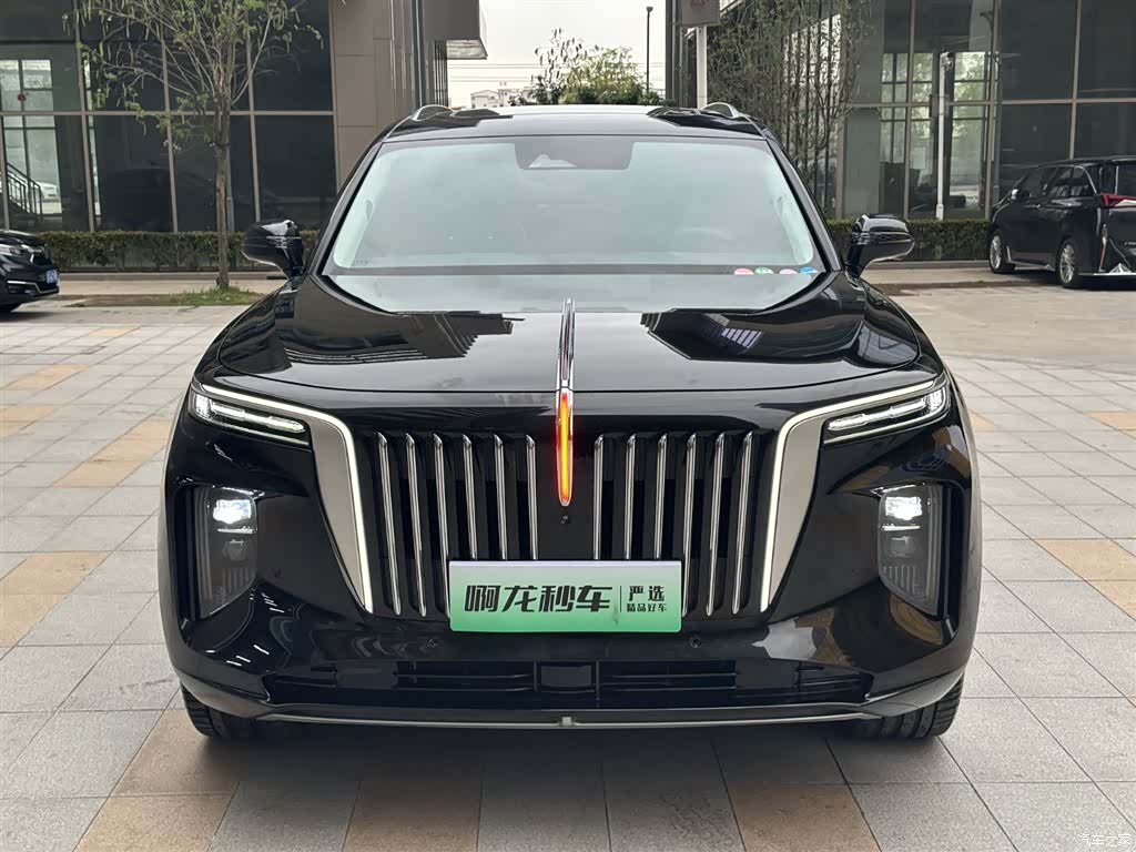 Hongqi E-HS9, 2023 4