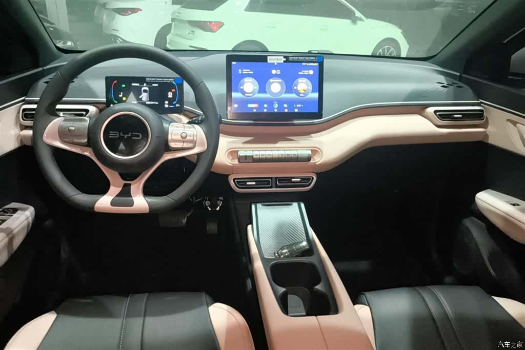 BYD Seagull, 2024 12