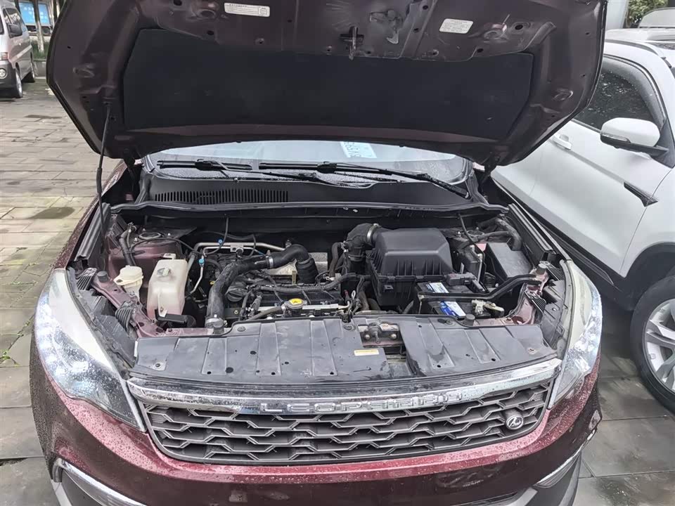 Leopaard Cheetah CS10