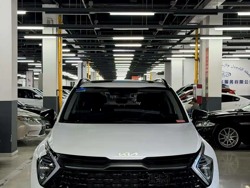 Kia Lion Platinum expands the world