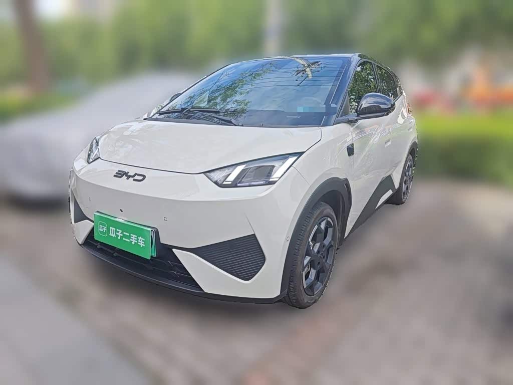 BYD Seagull