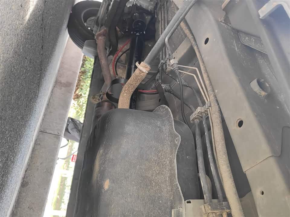 Jinbei Golden Sea Lion Classic