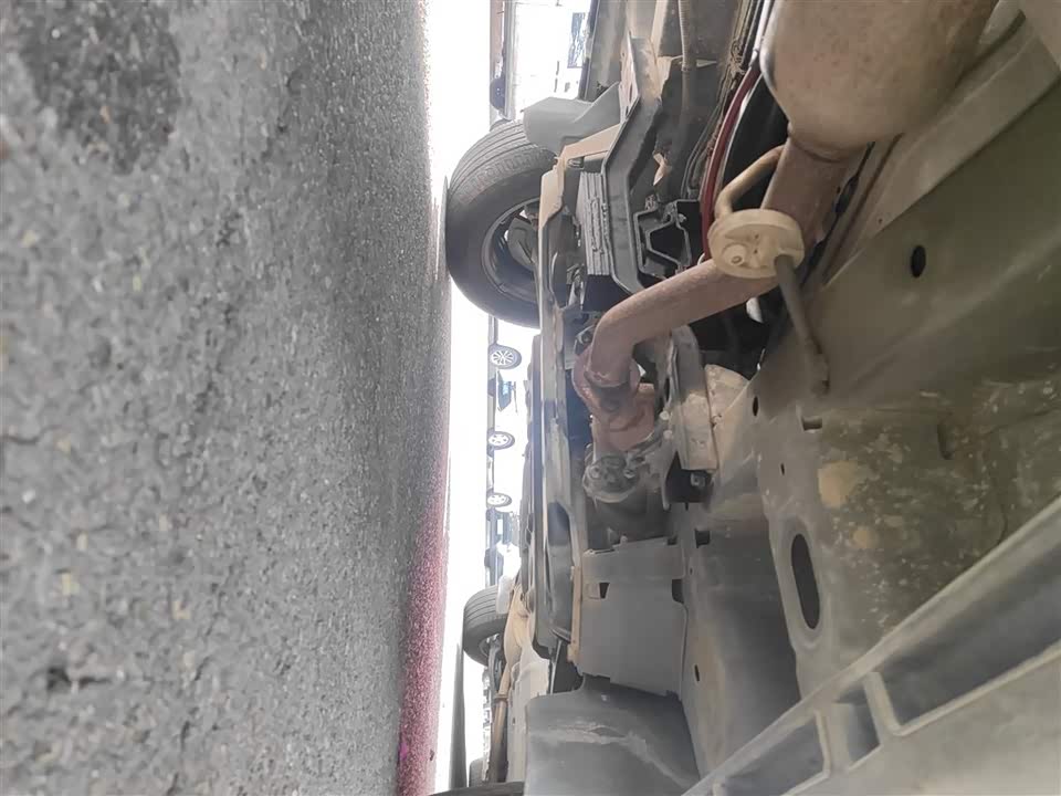 Jinbei Golden Sea Lion Classic