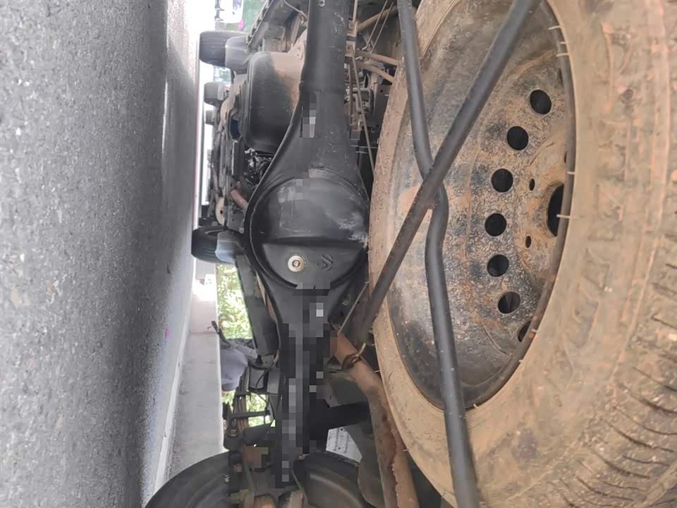 Jinbei Golden Sea Lion Classic