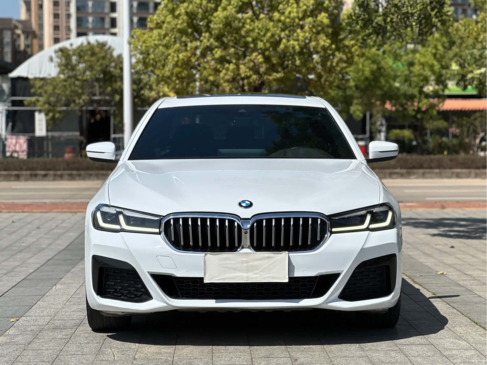 BMW 5 Series, 2021 3