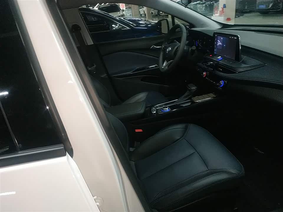 Buick Slightly blue 6