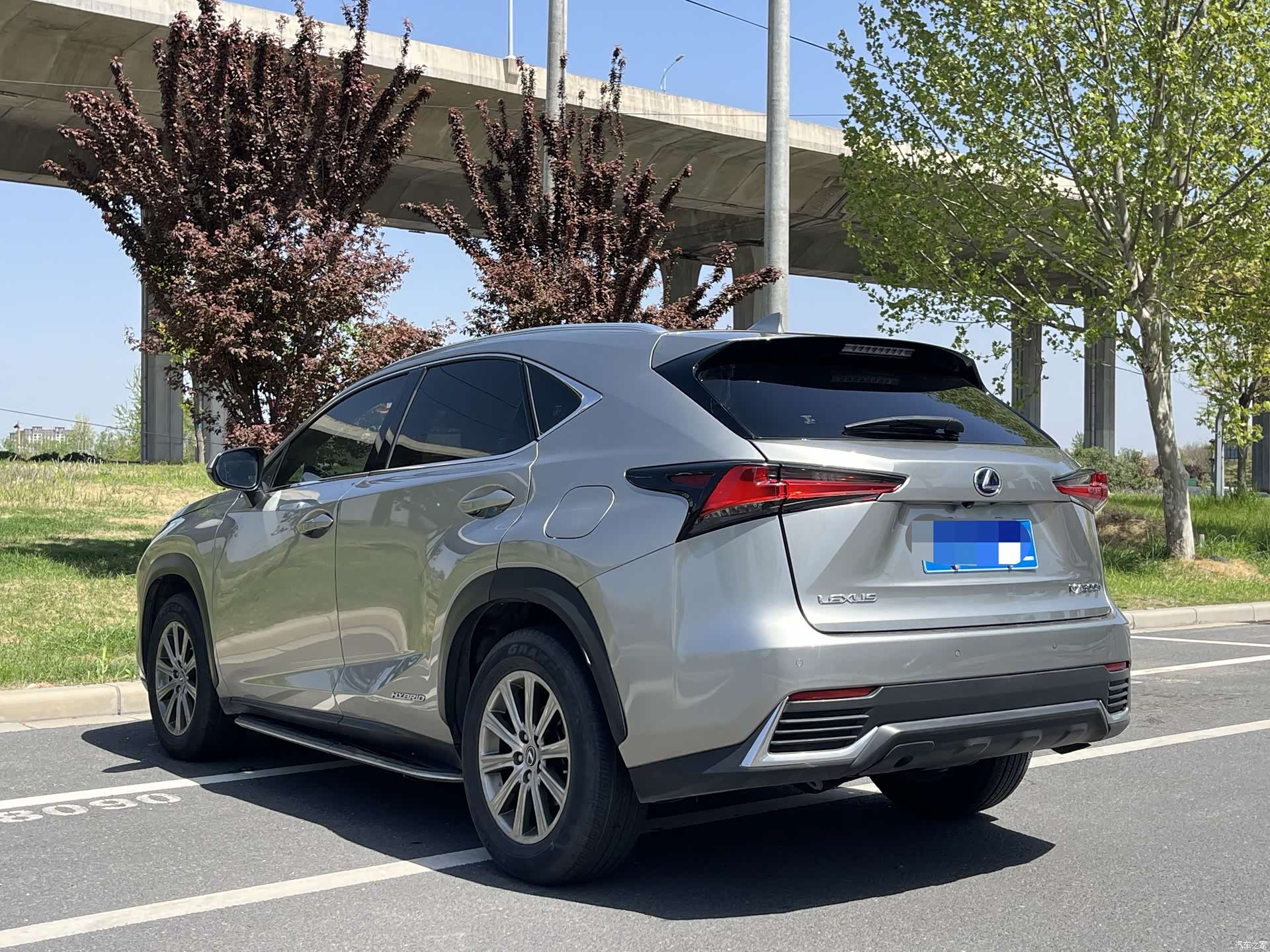 Lexus NX, 2020 все фото
