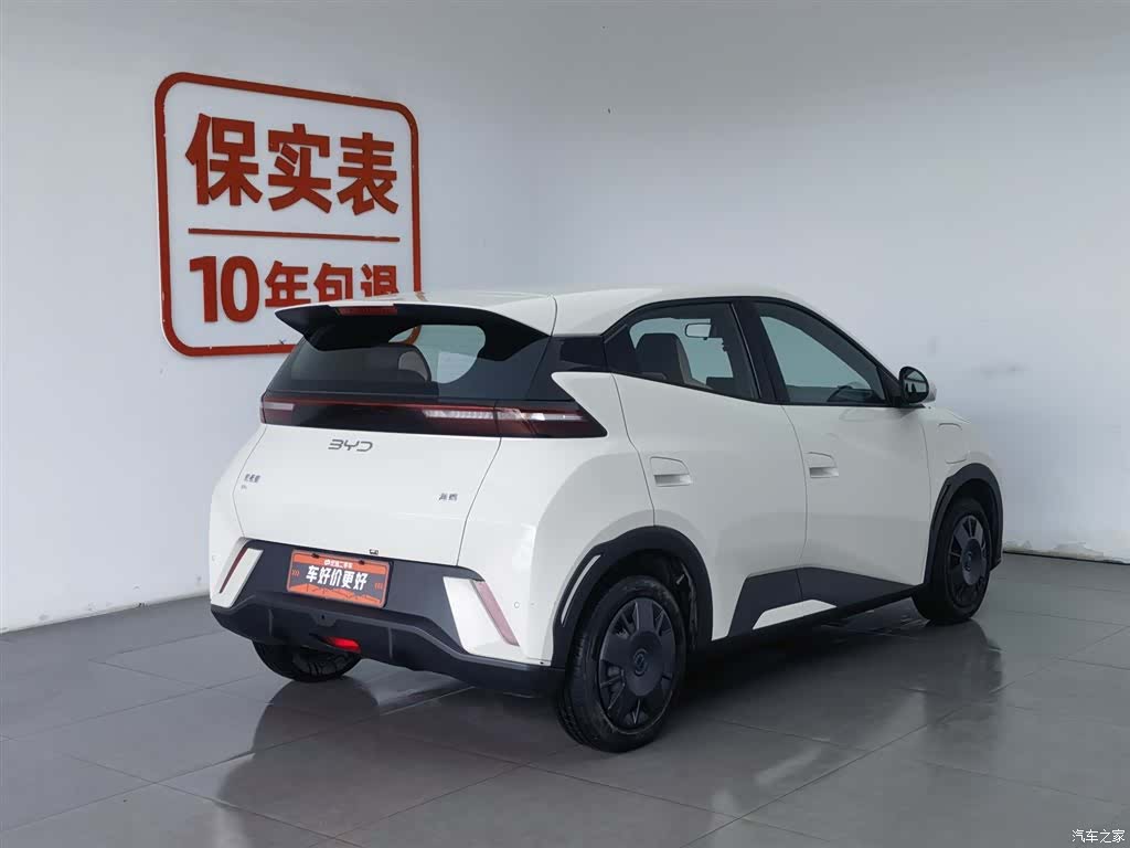 BYD Seagull, 2024 2