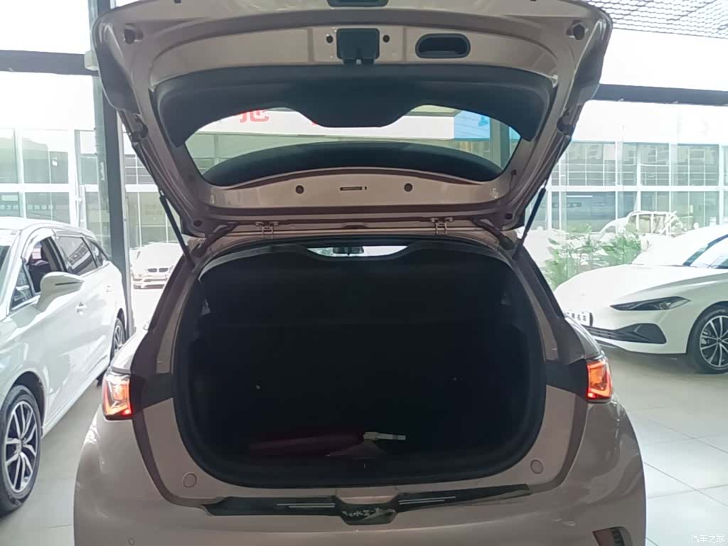 BYD Dolphin, 2024 19