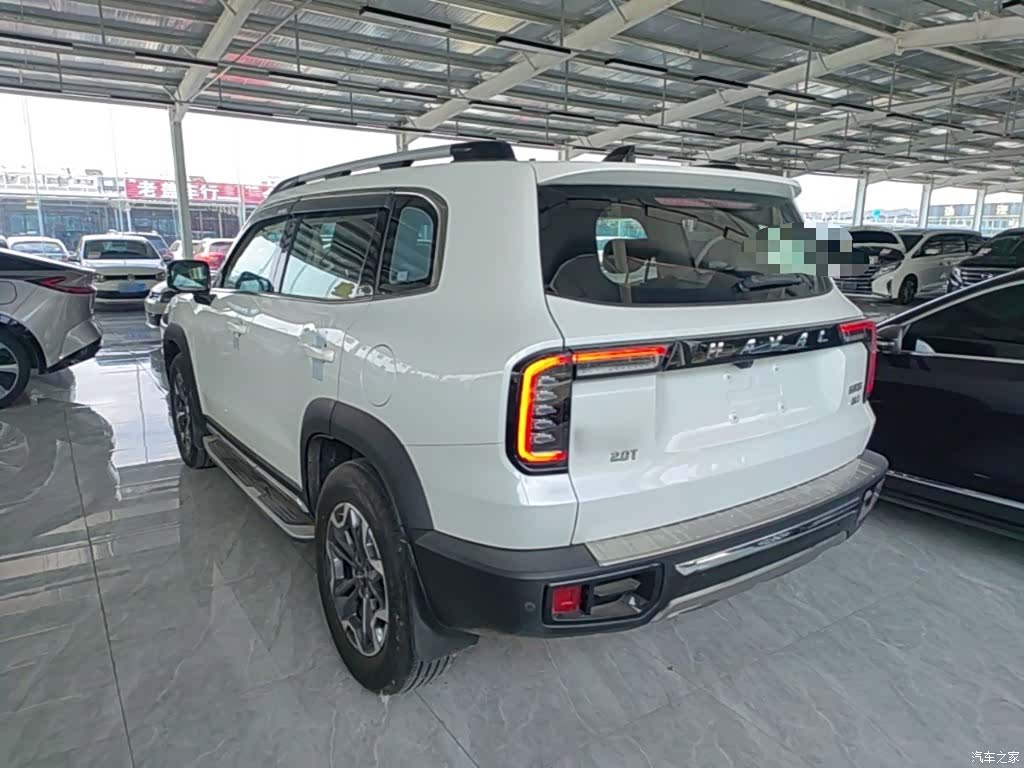 Haval Big Dog, 2022 все фото