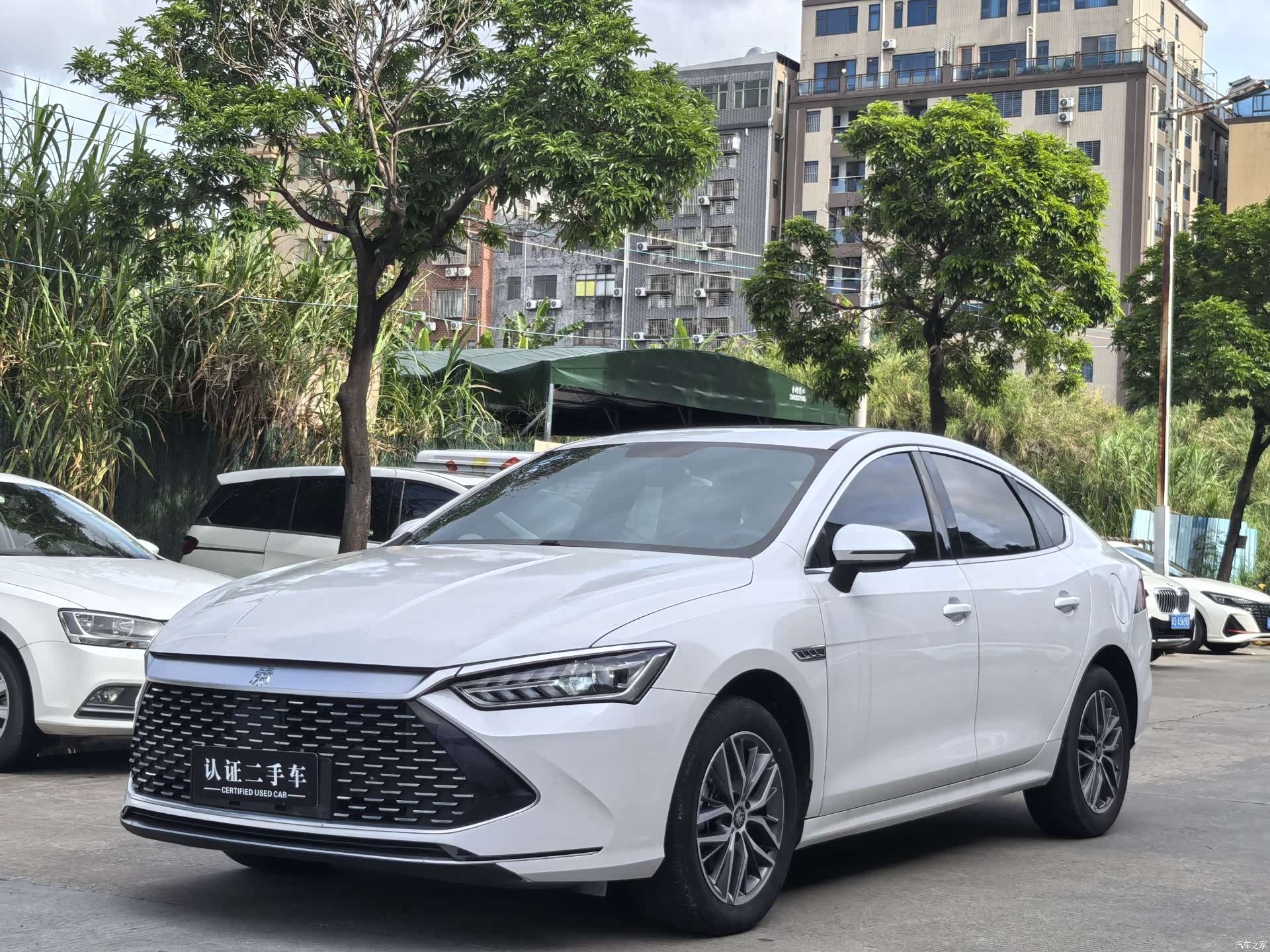 BYD Qin, 2024 1