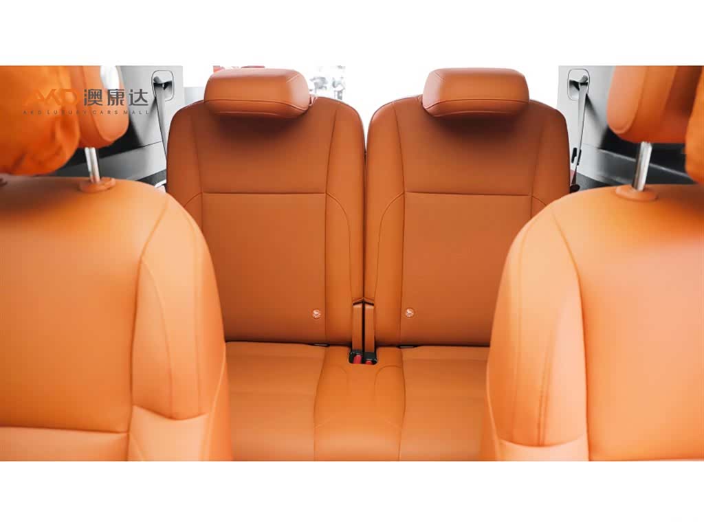 Li Auto L9, 2023 9