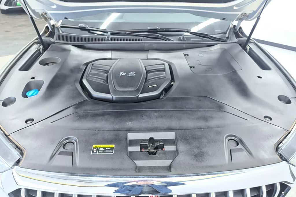 Hongqi HS5, 2020 10