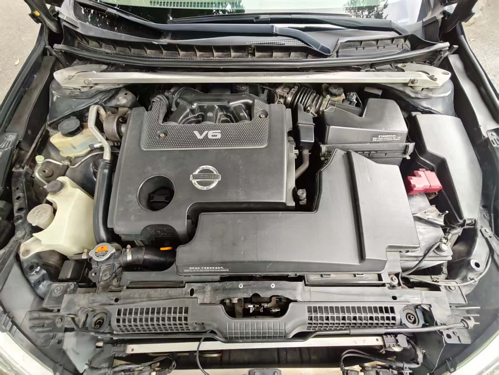 Nissan Teana, 2010 10