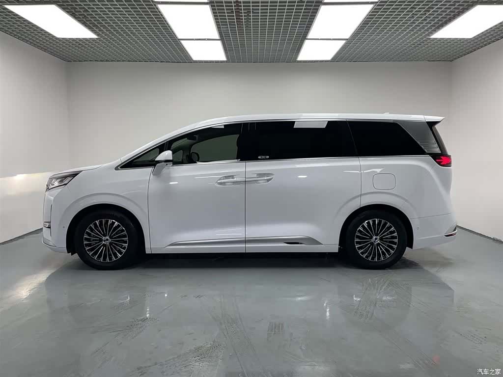 Denza D9, 2024 6