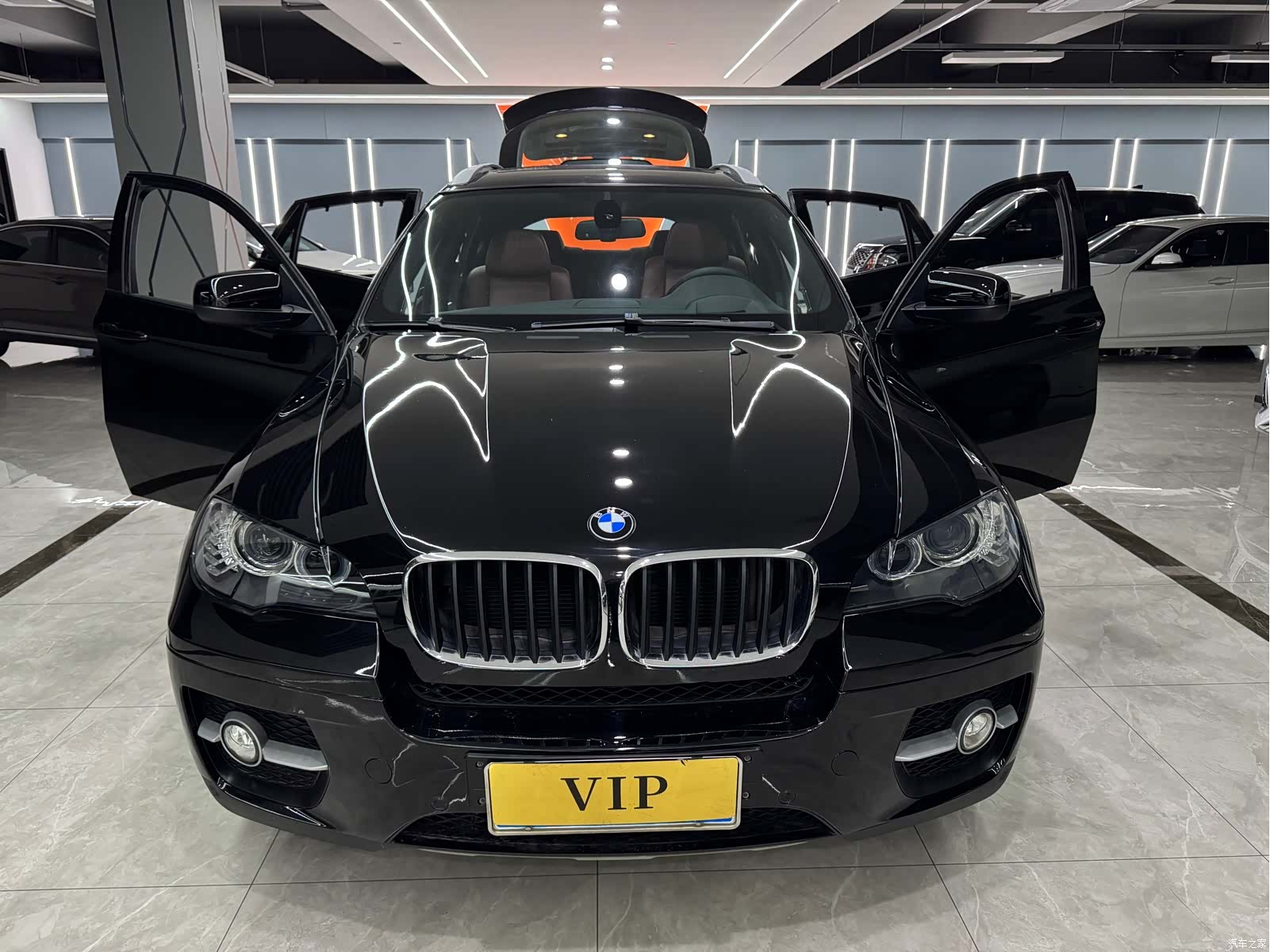BMW X6, 2009 18