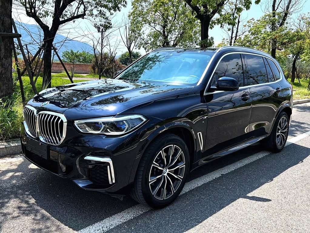 BMW X5 2022 xDrive 30Li Premium M Sport