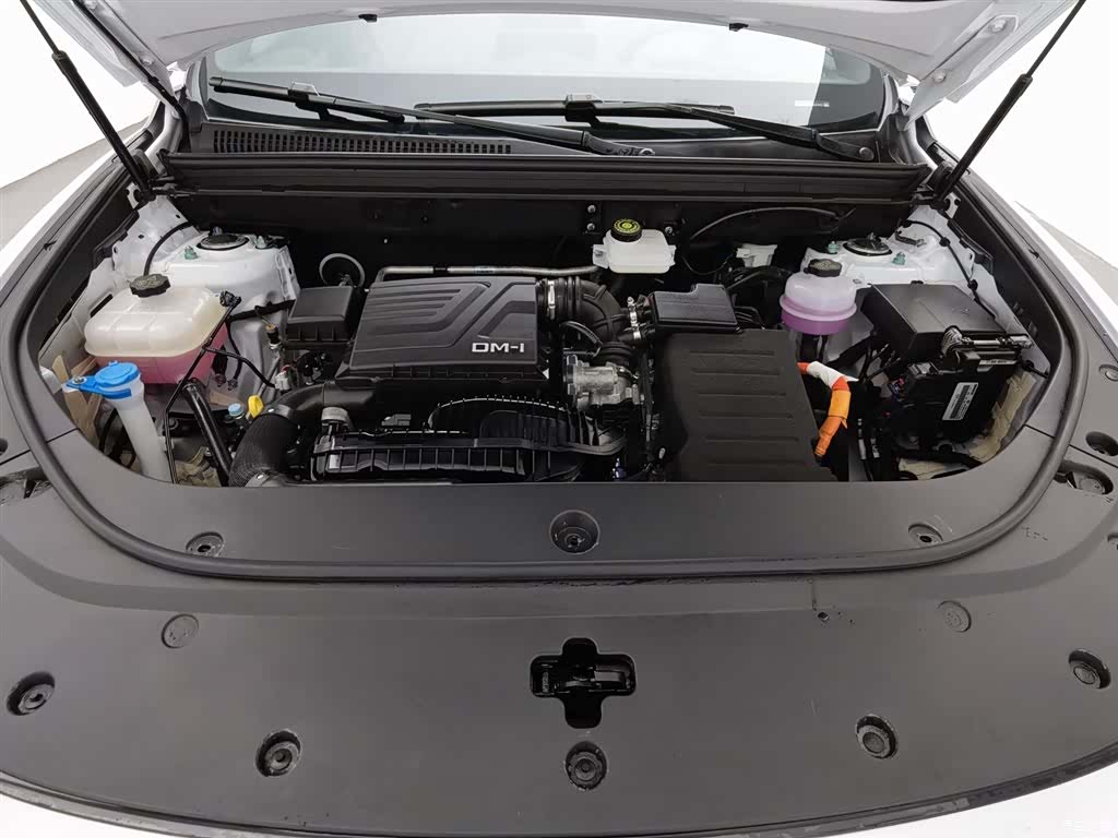 BYD Song, 2024 6