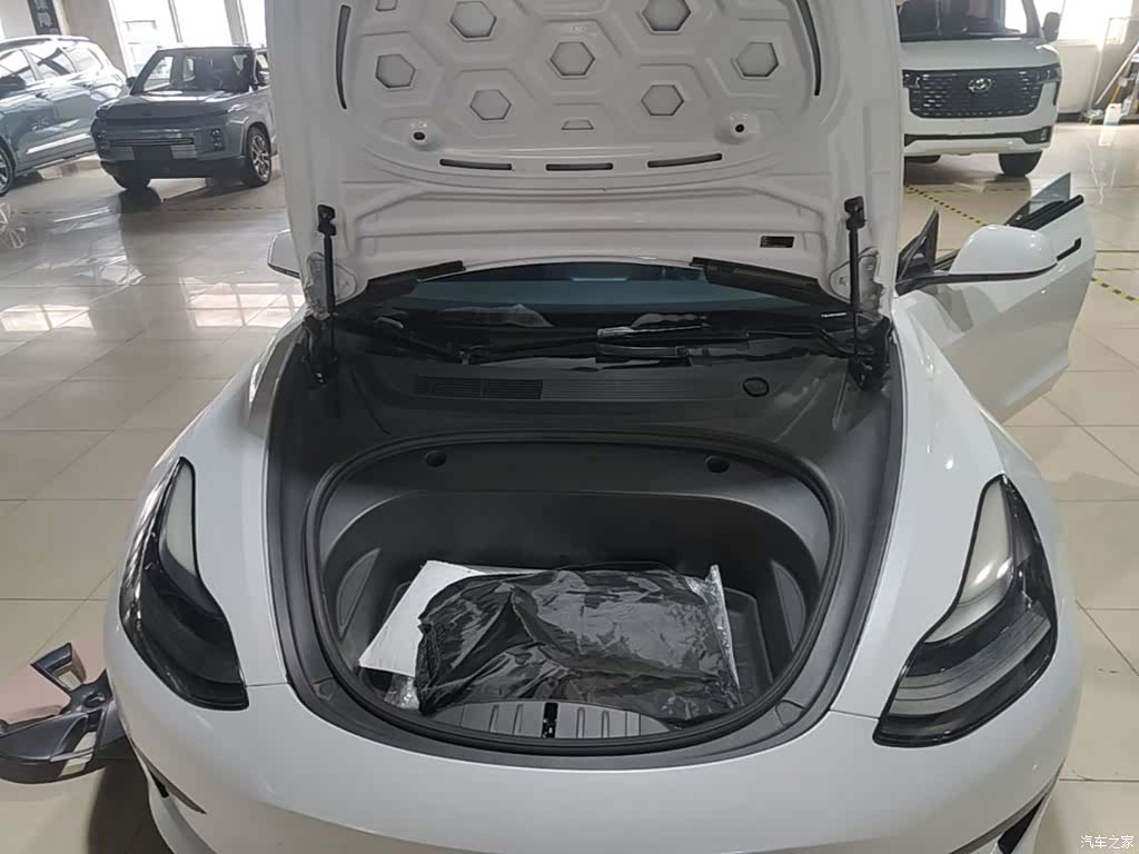 Tesla Model 3, 2021 20