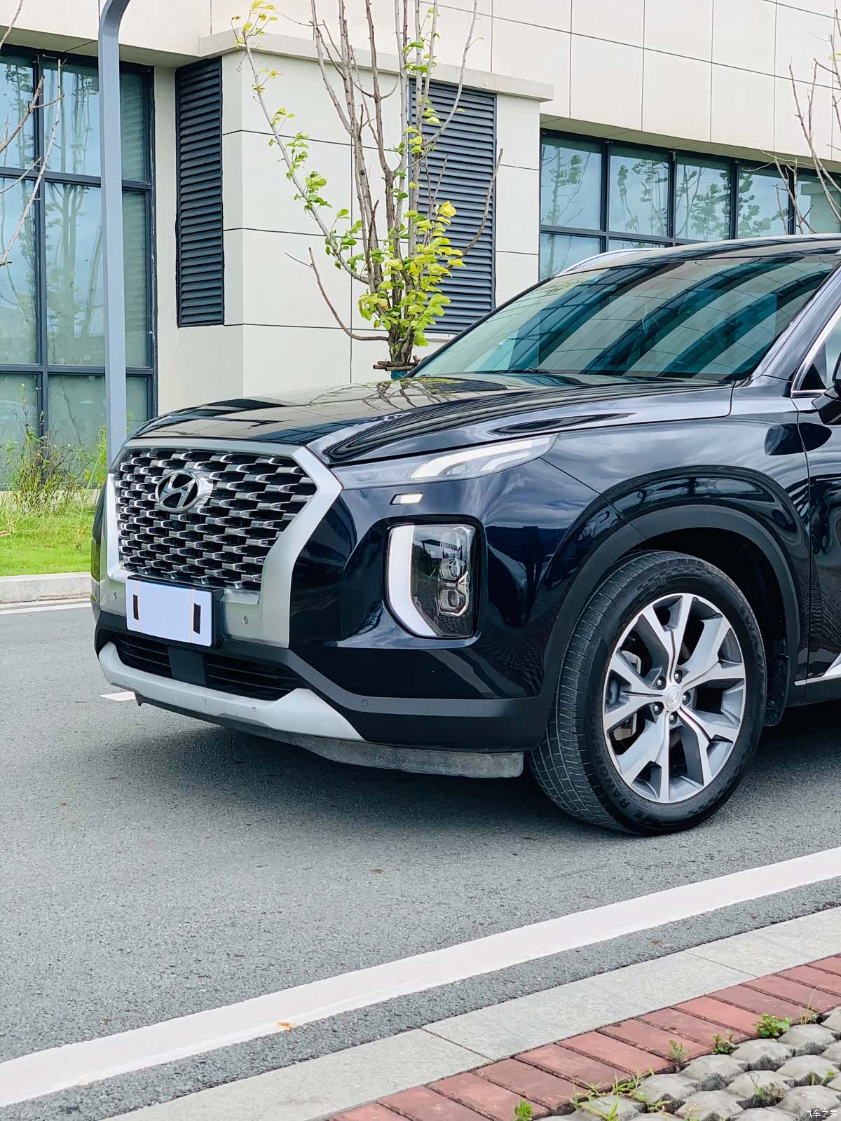 Hyundai Palisade, 2021 все фото