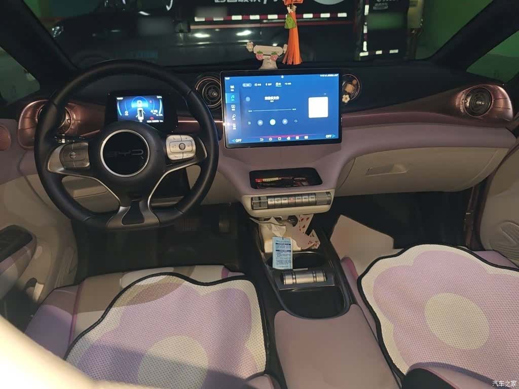 BYD Dolphin, 2023 13