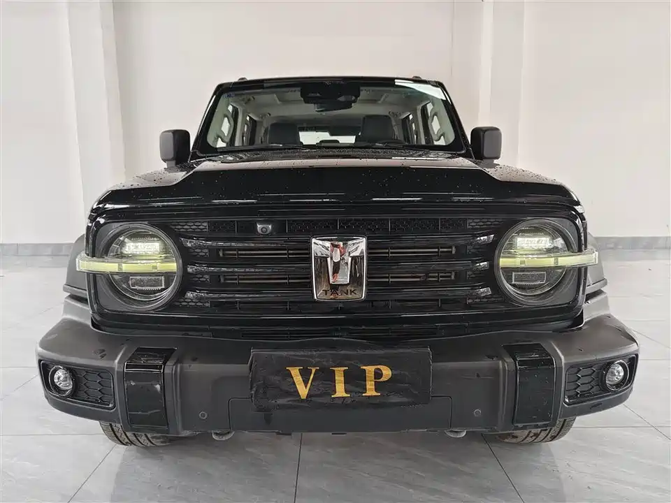 Tank 300