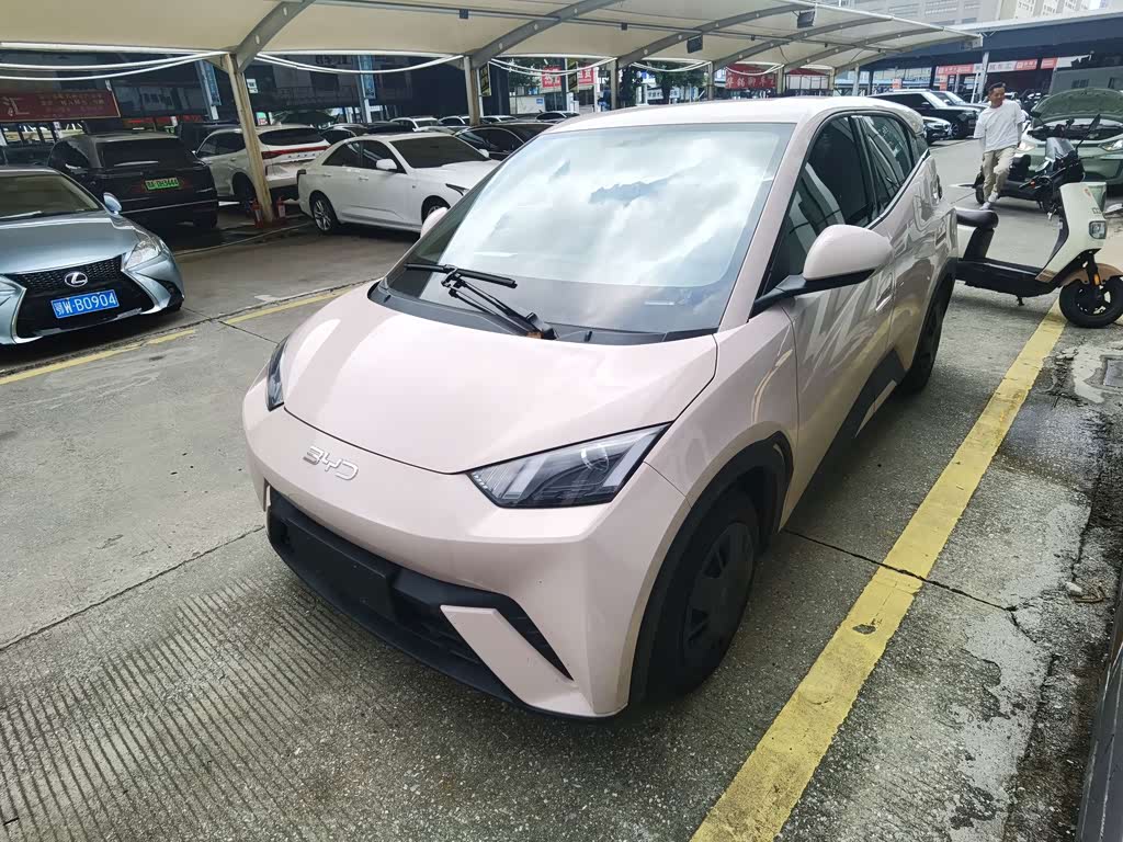 BYD Seagull