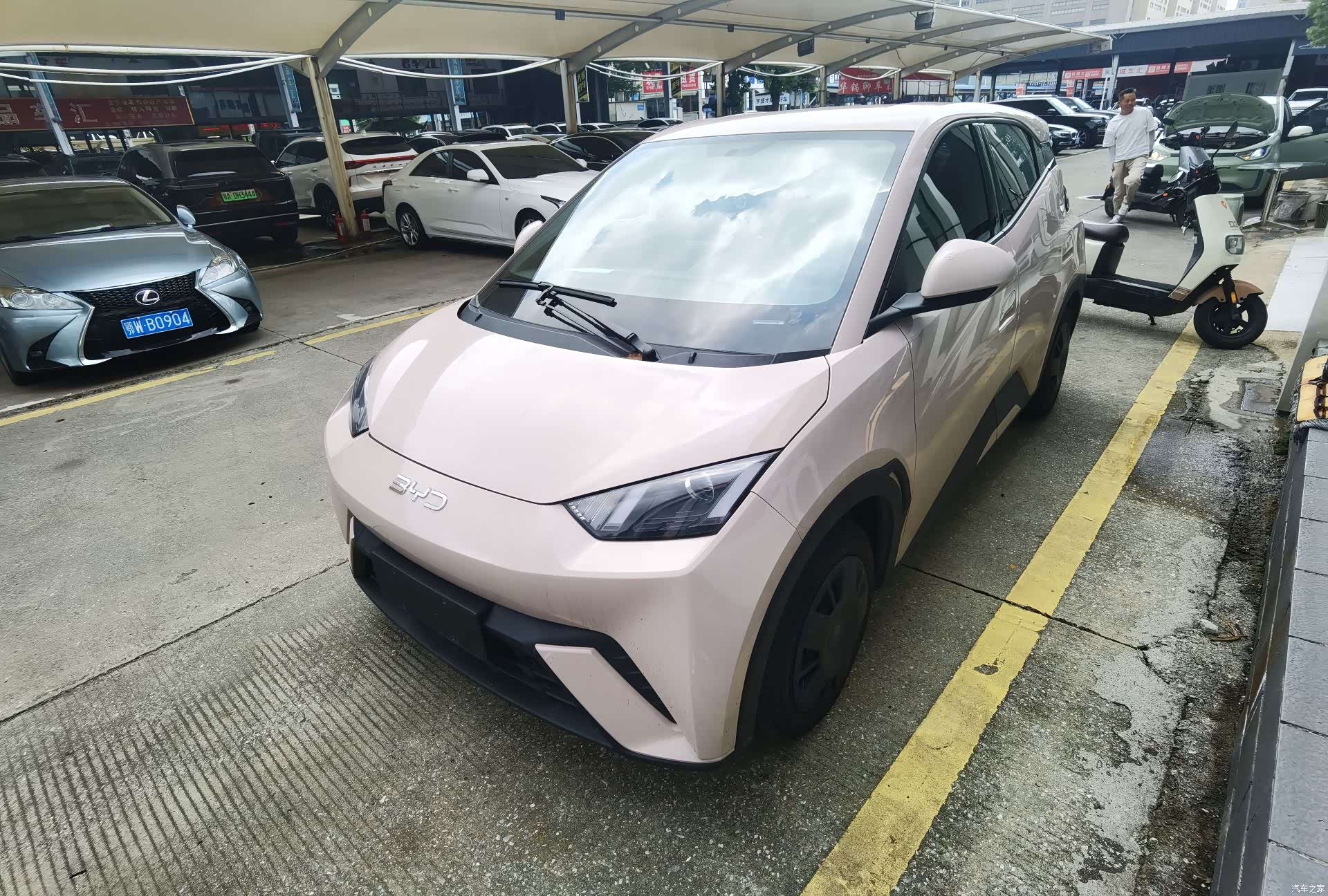 BYD Seagull, 2025 1