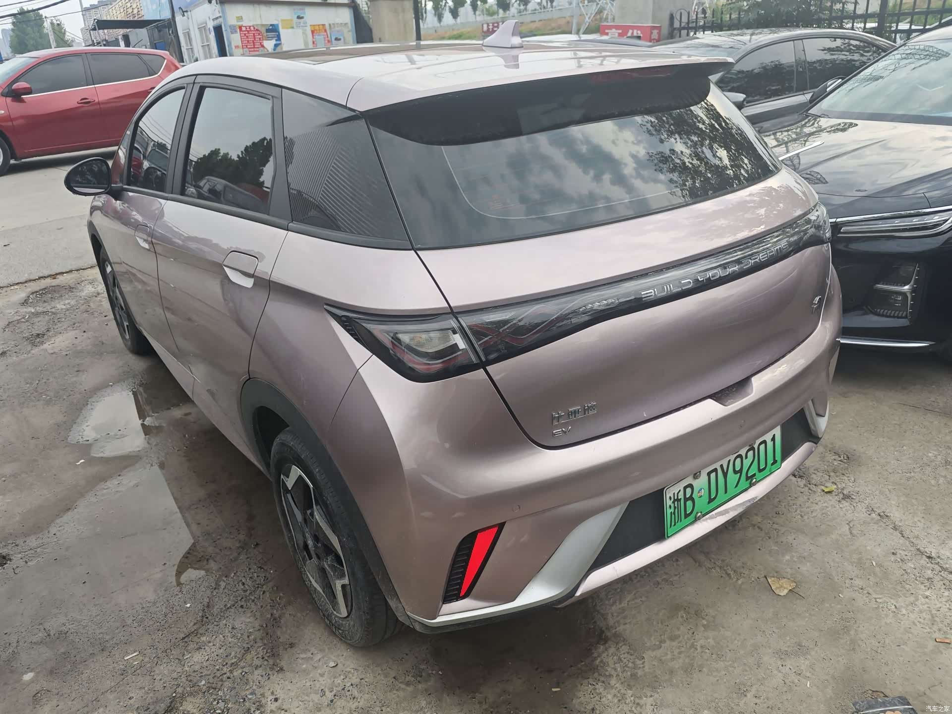 BYD Dolphin, 2022 8