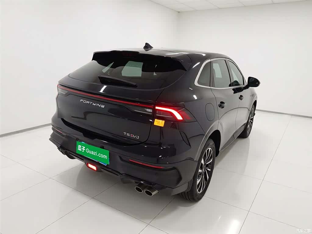 DongFeng T5, 2024 все фото