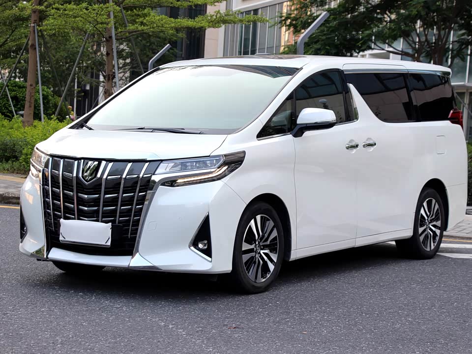 Toyota Elfa