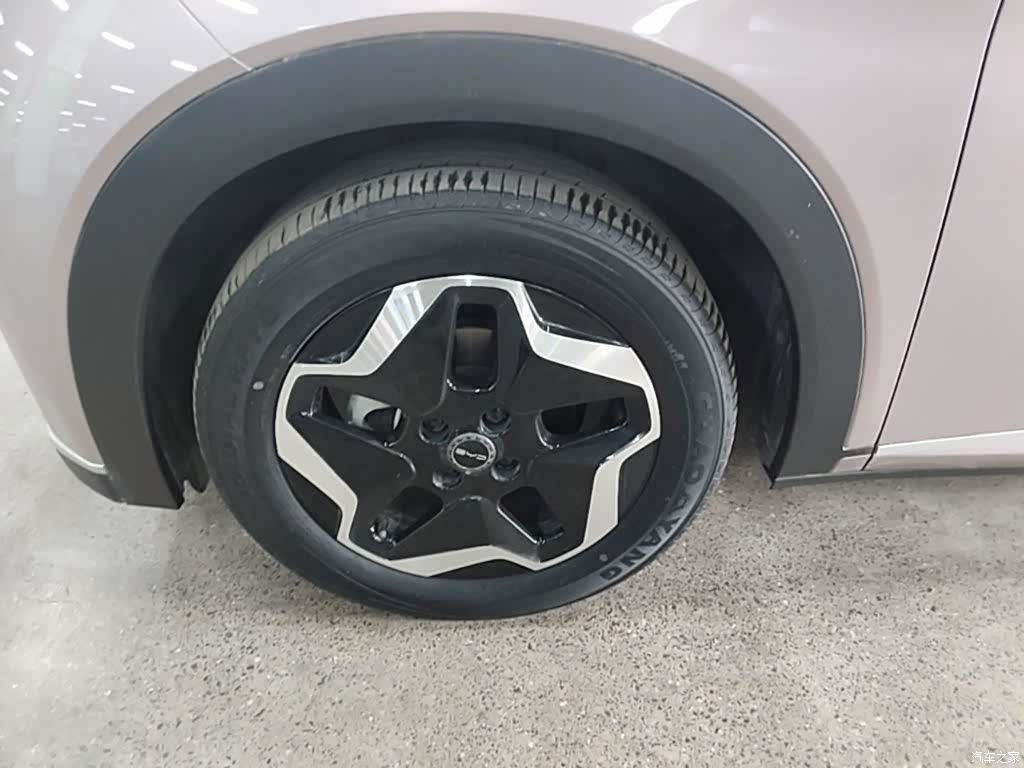 BYD Dolphin, 2023 23