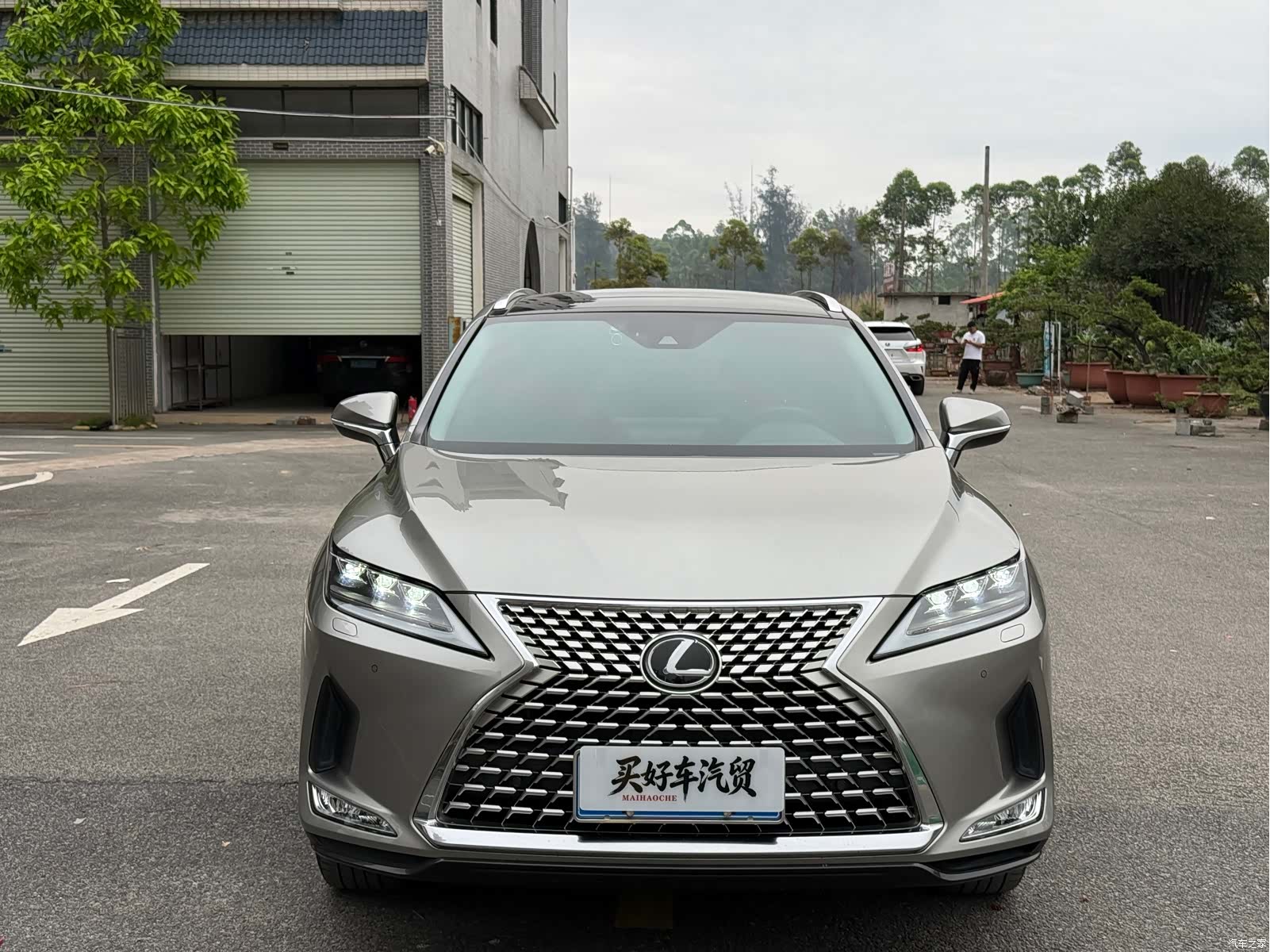 Lexus RX, 2022 2