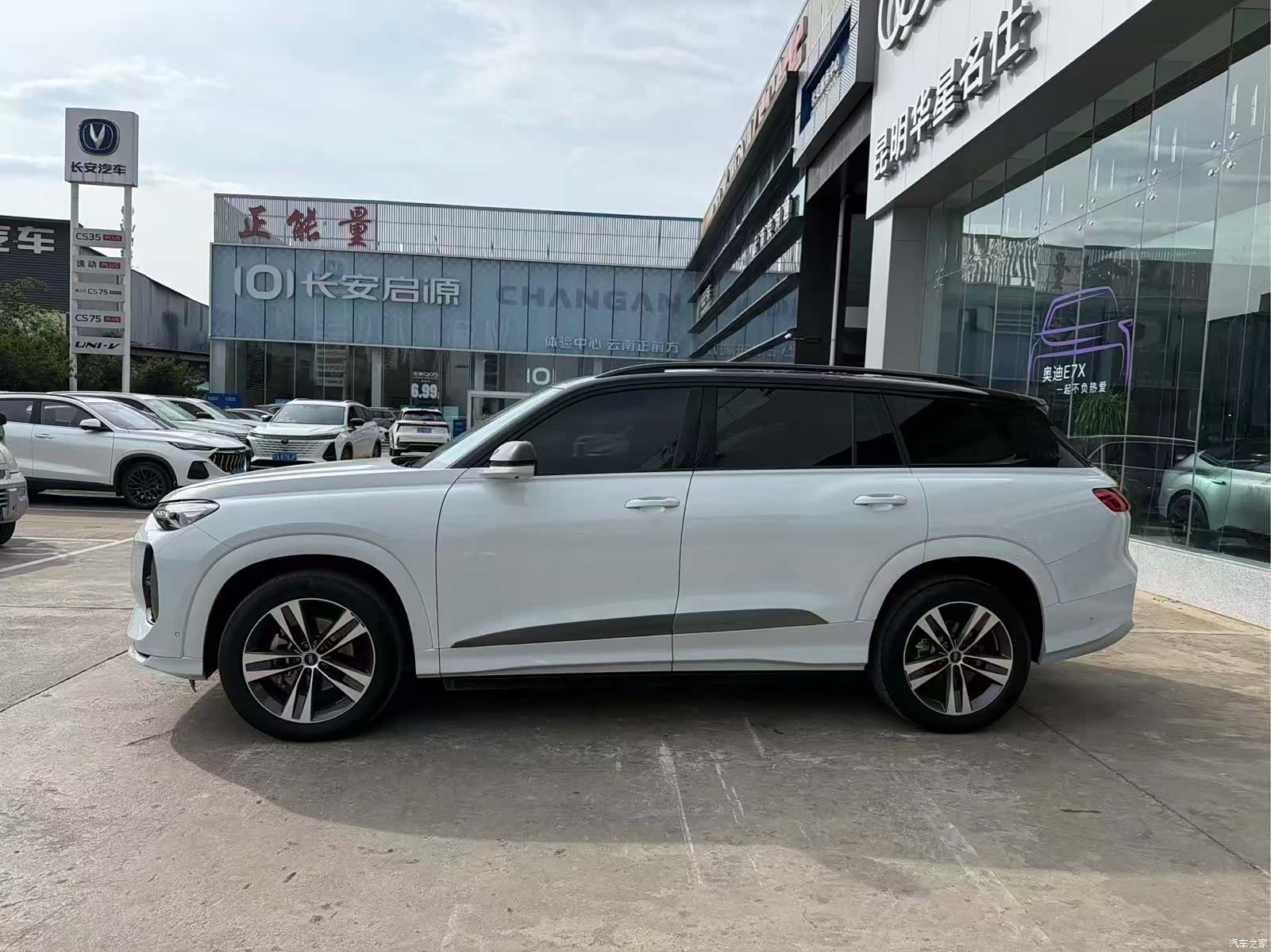 Audi Q6, 2025 8